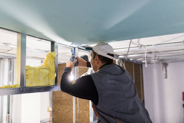 Trusted Barnesville, GA Insulation Contractor Experts