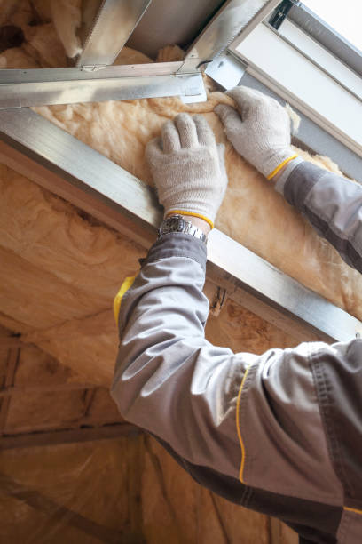 Best Cellulose Insulation in Barnesville, GA