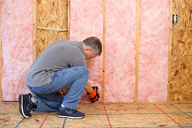 Best Geographic-Specific Insulation Services in Barnesville, GA